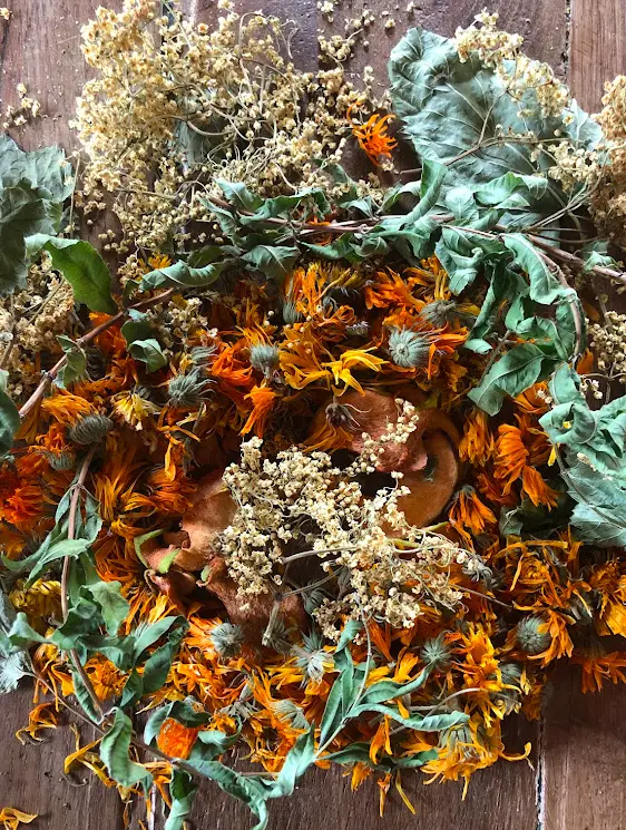 Infusion novembre
