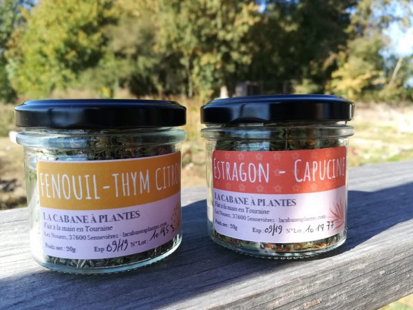 Thym citron-Fenouil