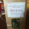 Belle de mai