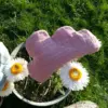 IMG_20201118_150721.jpg Petit nuage parfumé aux plantes (vieux rose)