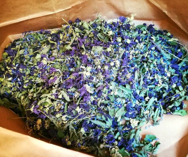 Magie bleue