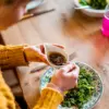 Cuisine des plantes et fleurs aromatiques