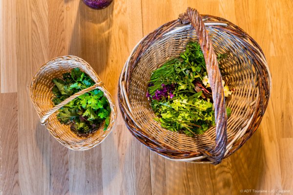 Cuisine des plantes et fleurs aromatiques