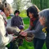 Découverte des plantes sauvages comestibles