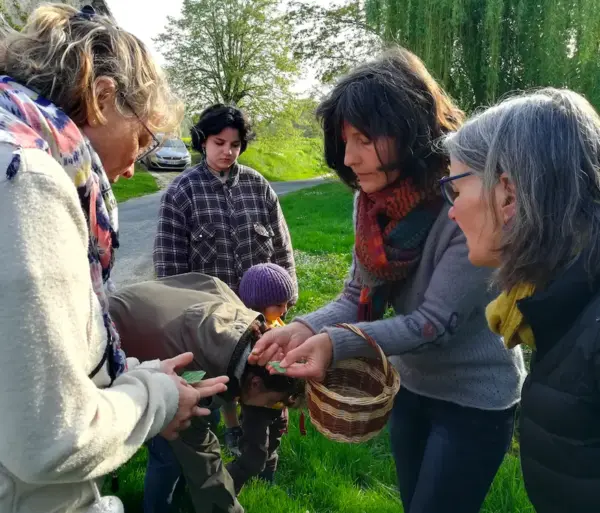 Découverte des plantes sauvages comestibles