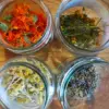 Concevez votre infusion à base de plantes et fleurs