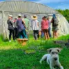 Visite dégustation de la Cabane à Plantes