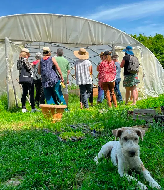 Visite dégustation de la Cabane à Plantes