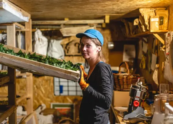 juliette séchoir Plantes Médicinales : Culture, Cueillette & Tisanes