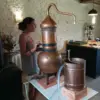 Distillation : atelier la cabane à plantes Distillation et aromathérapie