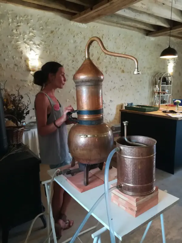 Distillation : atelier la cabane à plantes Distillation et aromathérapie