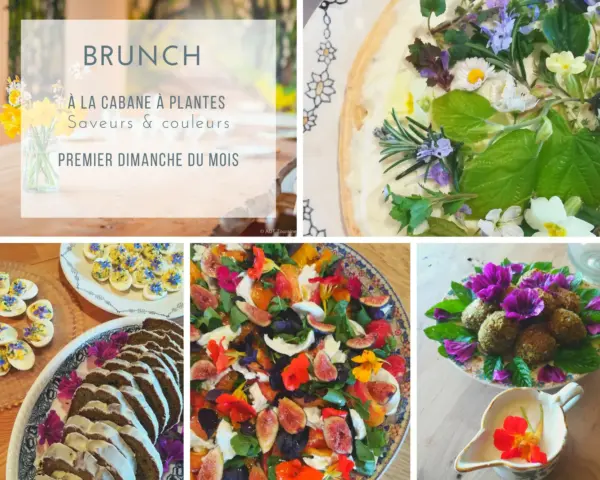 brunch cabane à plantes Brunch