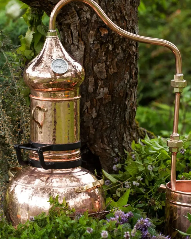 Atelier distillation