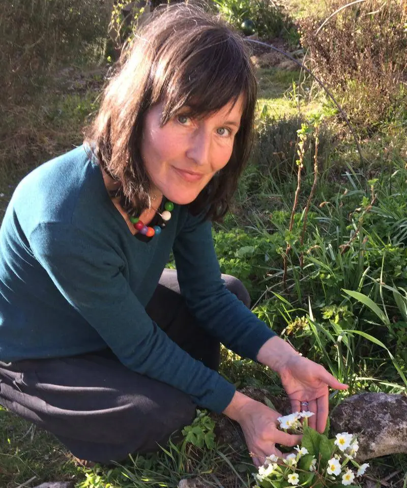 Découverte des plantes sauvages comestibles
