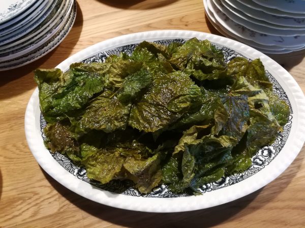 Dîner expérience : Manger la forêt