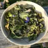 aurore infusion tonique Plantes Médicinales : Culture, Cueillette & Tisanes