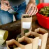 atelier infusions