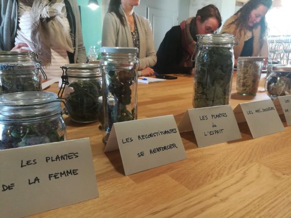 Le jardin médicinal : week-end immersion