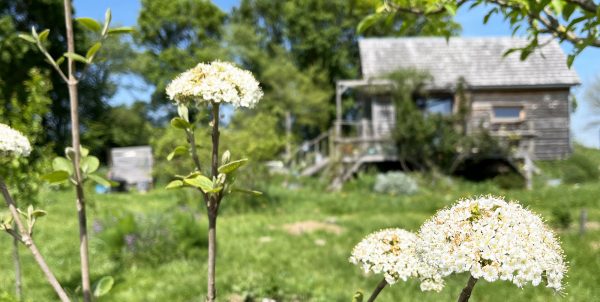 blog-juliette Visite dégustation de la Cabane à Plantes