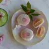 Atelier Mochis aux plantes