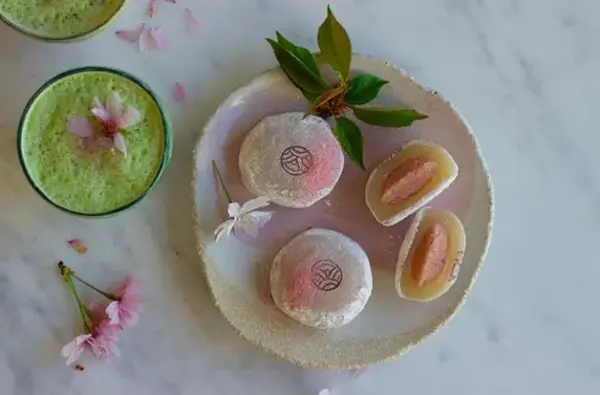 Atelier Mochis aux plantes