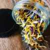 Pétales de fleurs