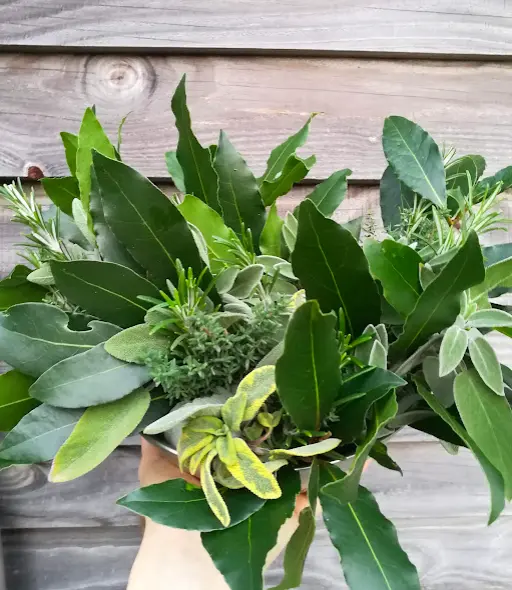 Bouquet garnis