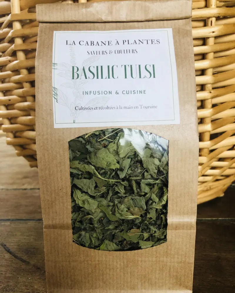 Basilic Tulsi