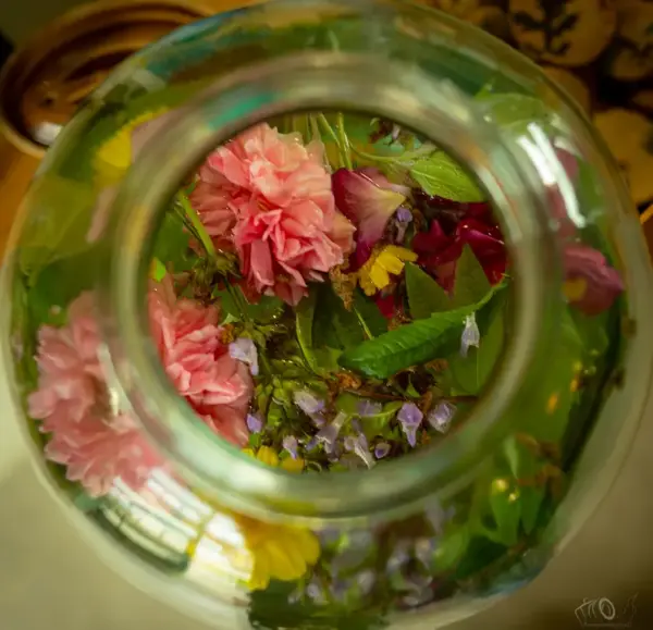 TRANSFORMER LES PLANTES AROMATIQUES