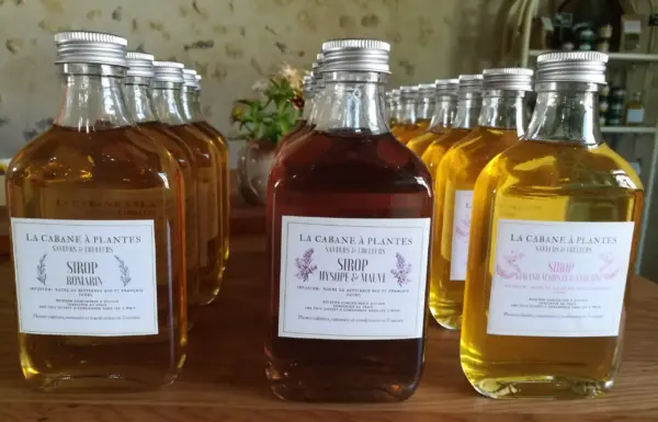 Sirop Hysope et Mauve