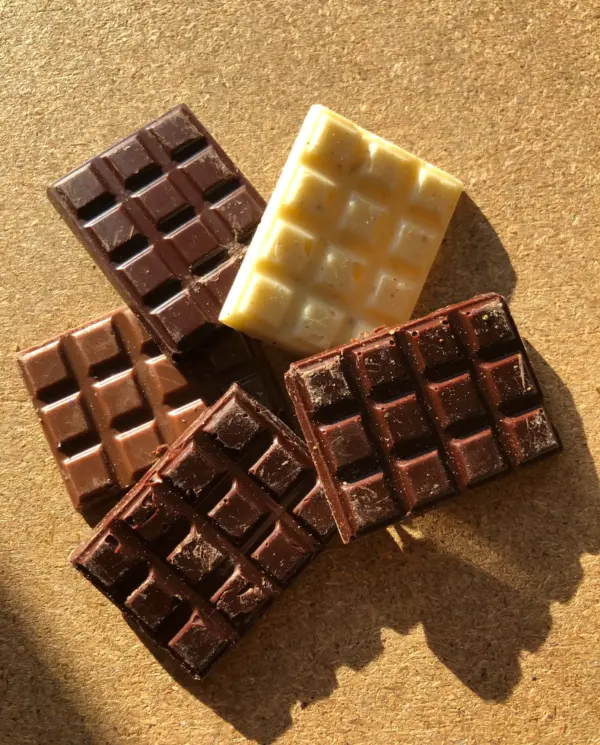 Assortiment de mini tablettes de chocolat aux plantes