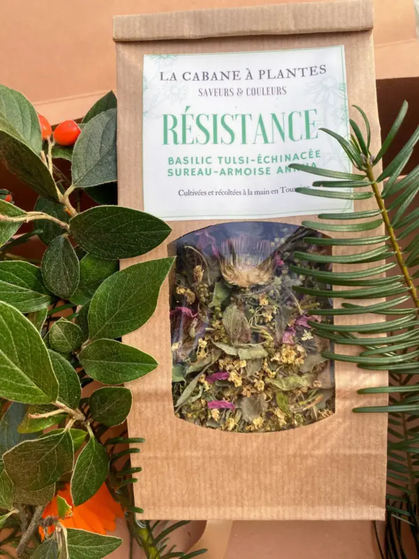 résistance cabane à plantes Coffret Cadeaux spécial Noël