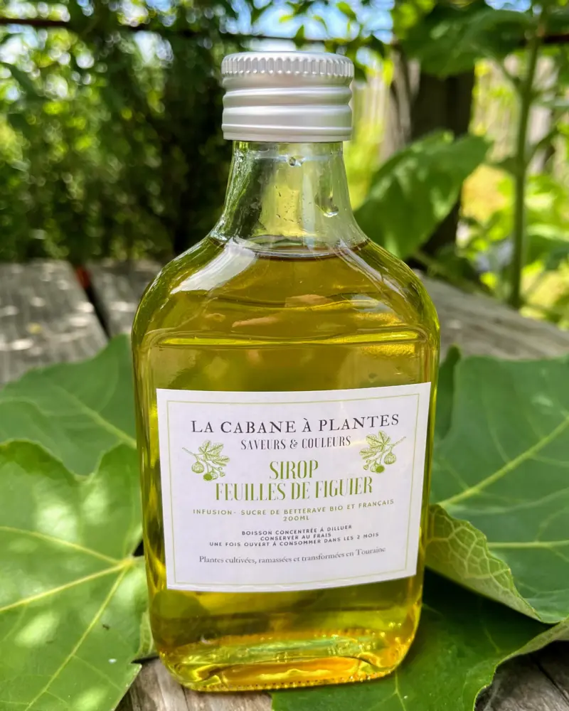 Sirop de Feuille de Figuier