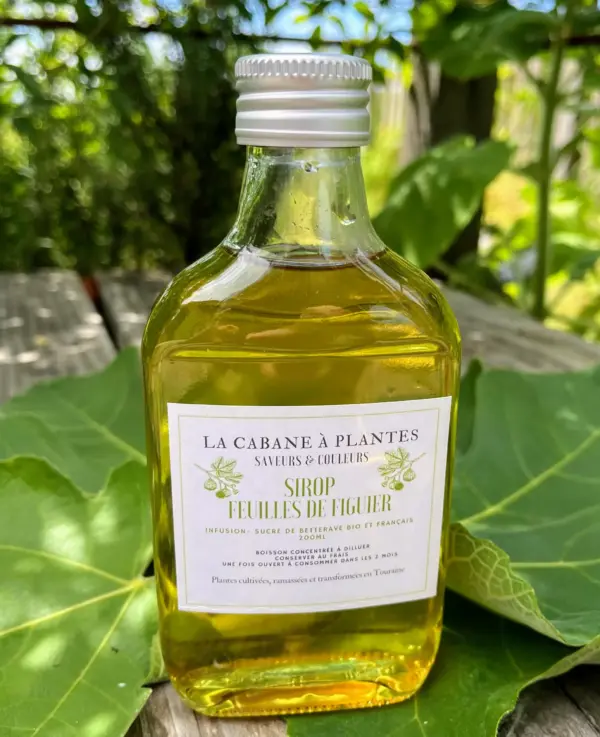 sirop de feuille de figuier Sirop de Feuille de Figuier