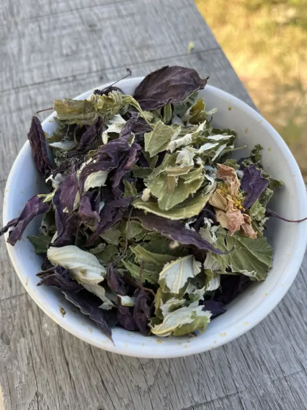 Fin d'été