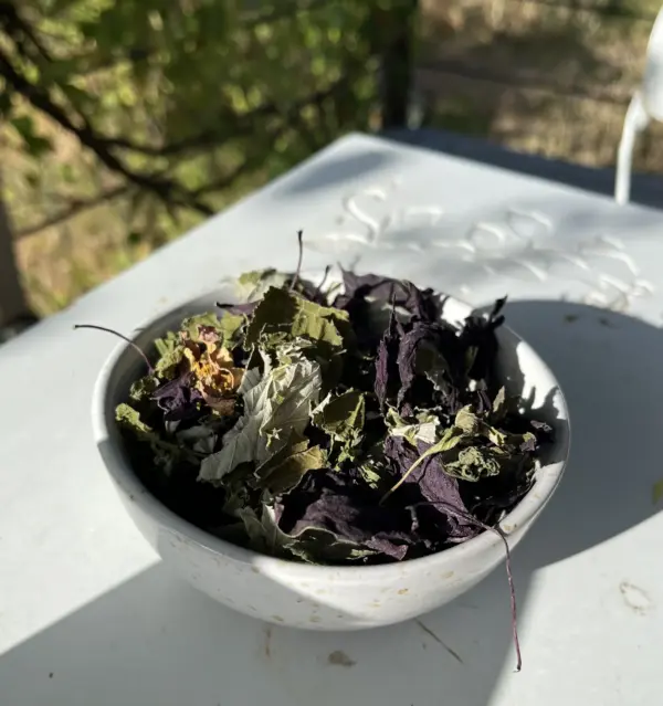 Fin d'été